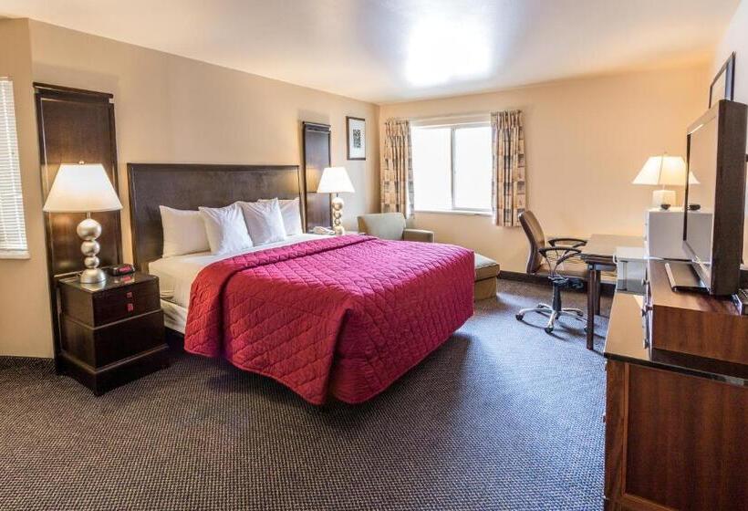 اتاق استاندارد با تخت بزرگ, Cedars Inn