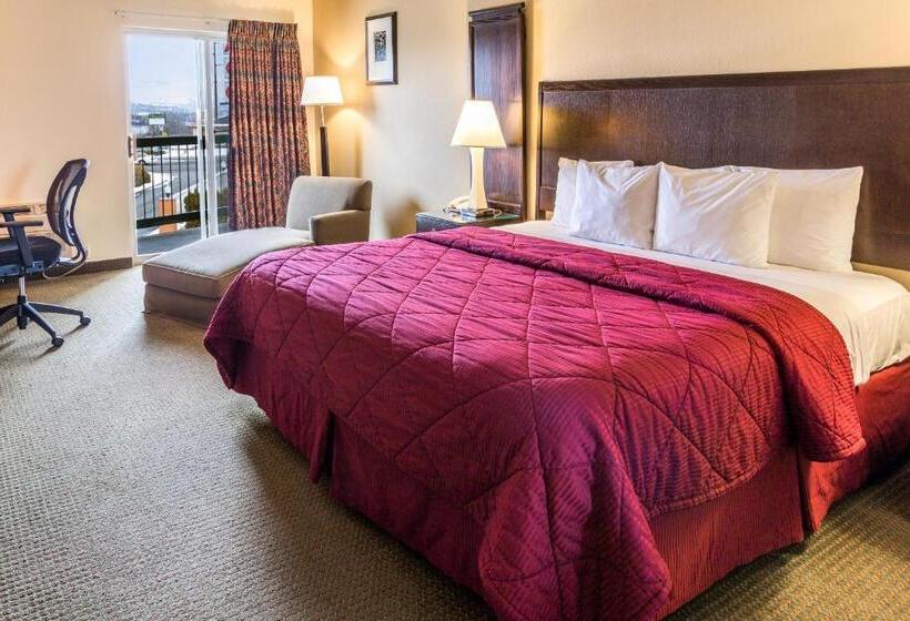 اتاق استاندارد با تخت بزرگ, Cedars Inn
