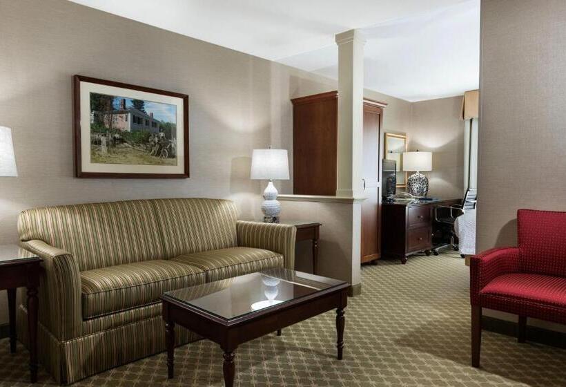 Студио Стандарт Кровать Кинг, Fairfield Inn By Marriott Boston Sudbury