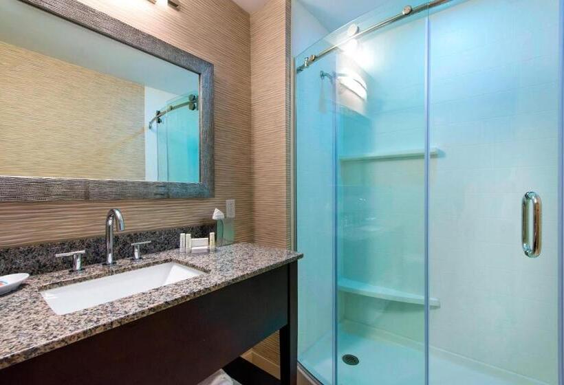 Студия Стандарт Двуспальная Кровать, Fairfield Inn By Marriott Boston Sudbury
