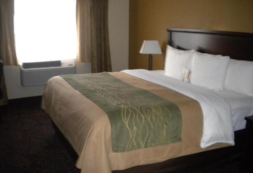 Стандартный Номер Кровать Кинг, Comfort Inn Federal Way  Seattle