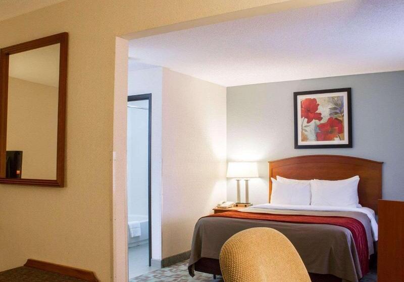 Номер Стандарт, Comfort Inn Hastings