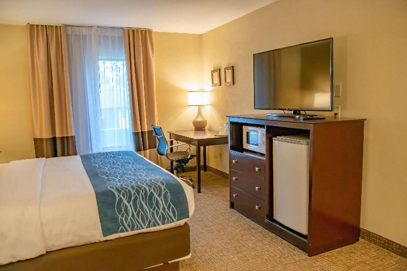 스탠다드 룸 킹사이즈 침대, Comfort Inn Huntington Near University