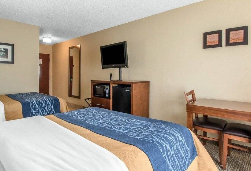 Номер Стандарт 2 Двуспальные Кровати, Comfort Inn