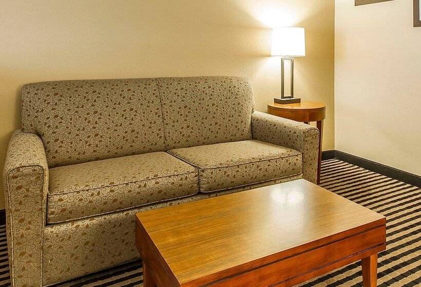 Номер Стандарт, Comfort Inn Owatonna Near Medical Center