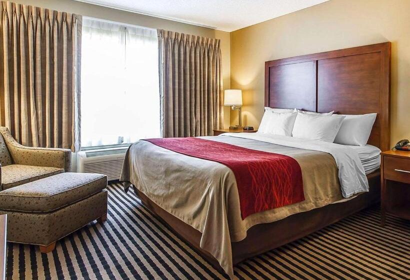 Стандартный Номер Кровать Кинг, Comfort Inn Owatonna Near Medical Center
