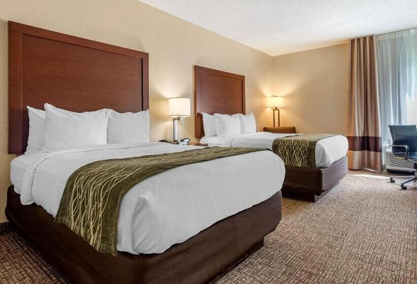 Номер Стандарт 2 Двуспальные Кровати, Comfort Inn