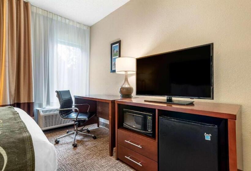 Люкс Кровать Кинг, Comfort Inn