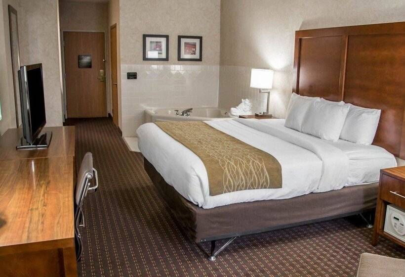 강 전망 스위트, Comfort Inn & Suites Riverview Near Davenport And I80