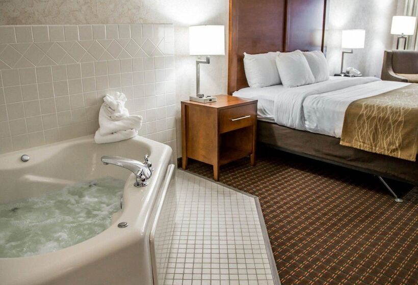 Люкс Вид на Реку, Comfort Inn & Suites Riverview Near Davenport And I80