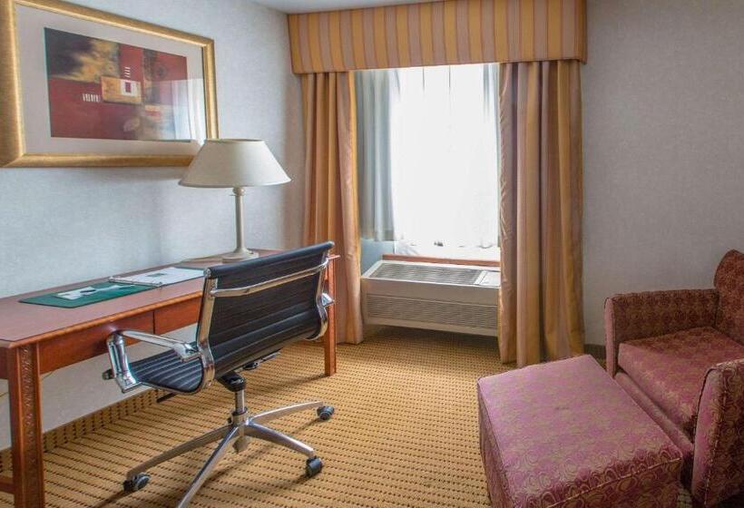 Стандартный Номер Кровать Кинг, Quality Inn & Suites University