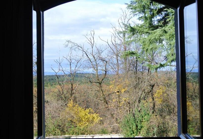 Deluxe Room Mountain View, Campagnoli