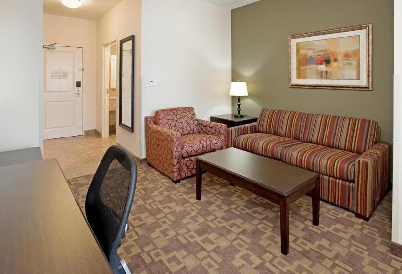 سوئیت اجرایی با تخت کینگ, Holiday Inn Express Hotel & Suites Topeka North By Ihg