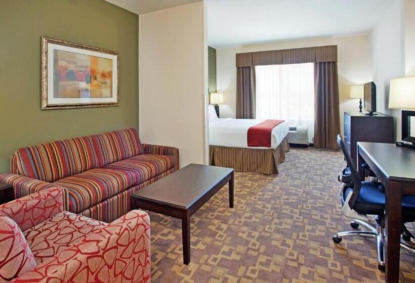 سوئیت اجرایی با تخت کینگ, Holiday Inn Express Hotel & Suites Topeka North By Ihg