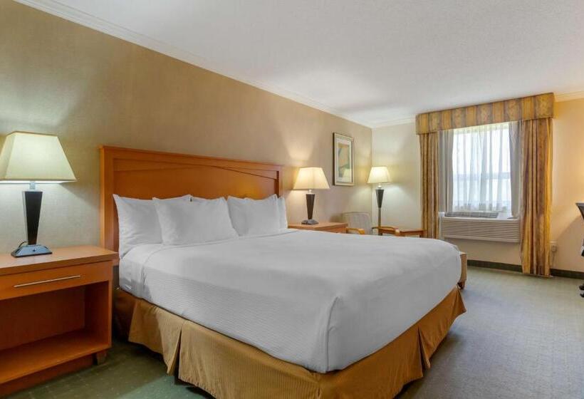 Стандартный Номер Кровать Кинг, Best Western Davison Inn