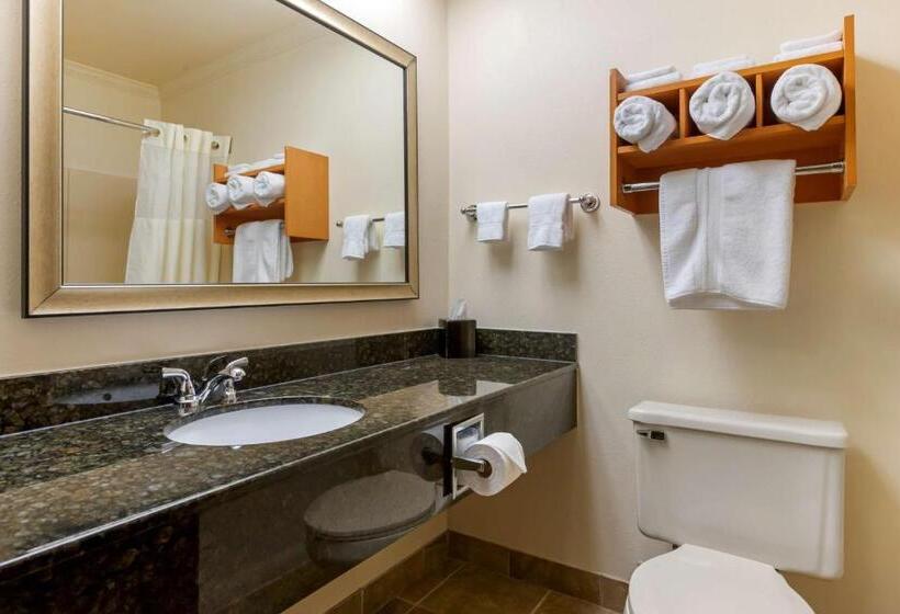 Номер Стандарт, Best Western Davison Inn