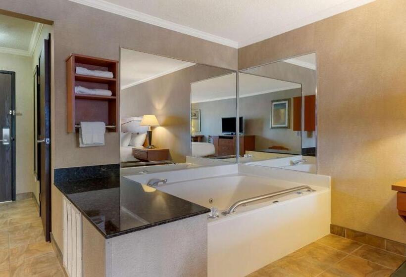 Номер Deluxe Кровать Кинг, Best Western Davison Inn