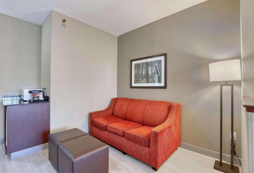Люкс, Comfort Suites Madison West