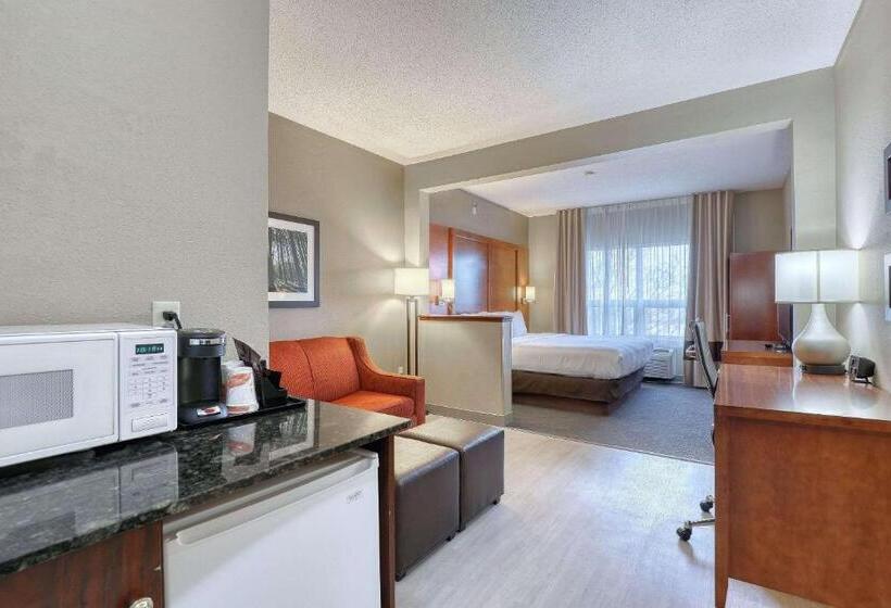 Suíte Executiva Cama king, Comfort Suites Madison West