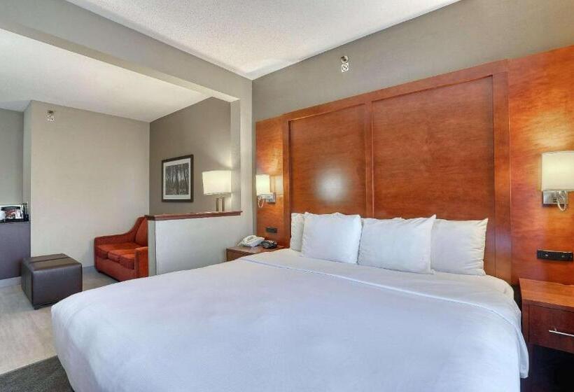 Люкс Executive Кровать Кинг, Comfort Suites Madison West