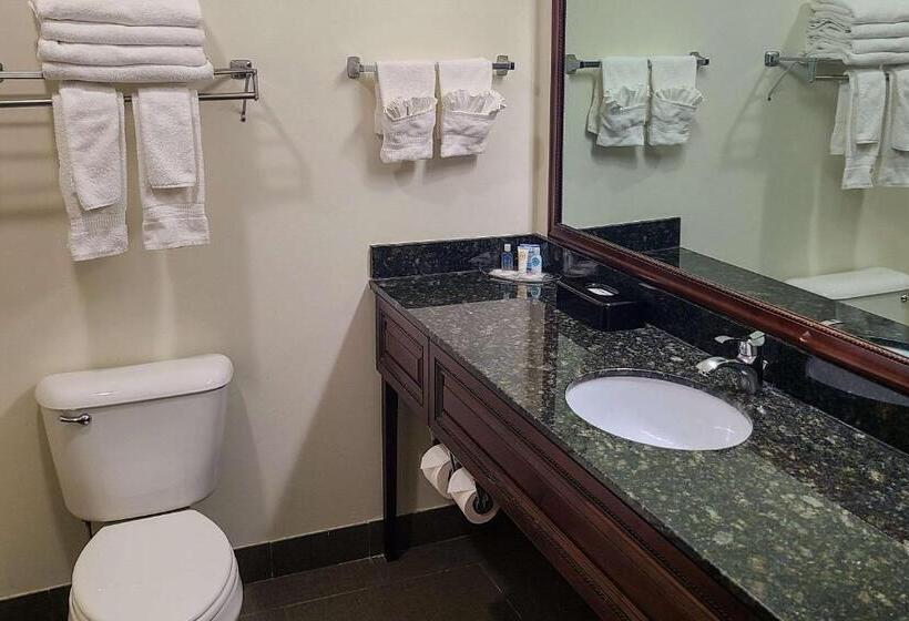 스위트 킹사이즈 침대, Comfort Suites Madison West