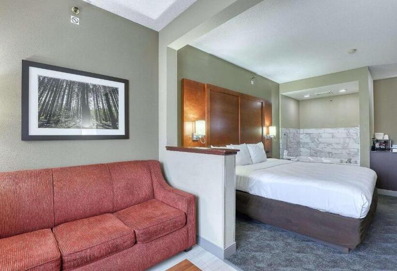 스위트 킹사이즈 침대, Comfort Suites Madison West