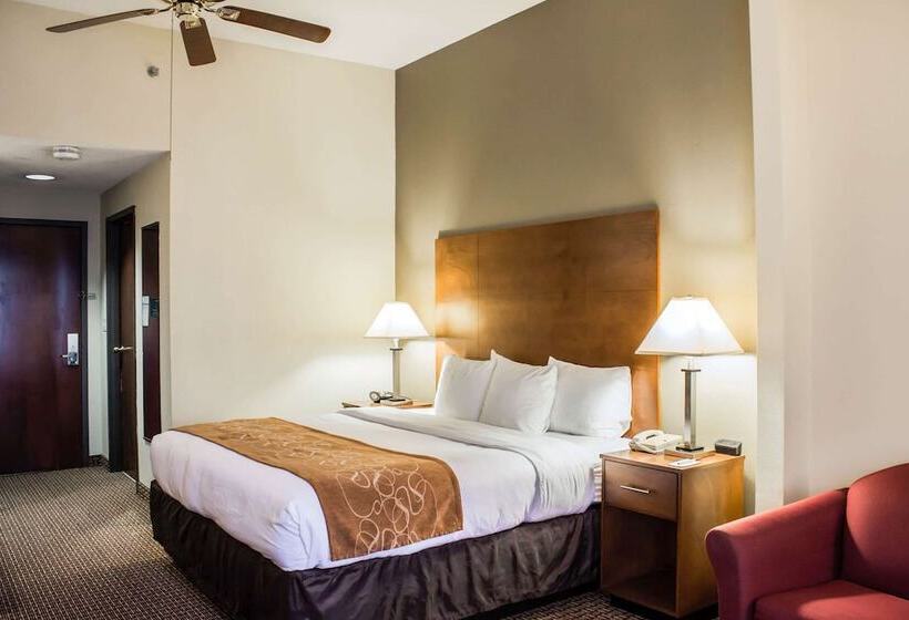Люкс, Comfort Suites Raleigh Durham Airport/rtp