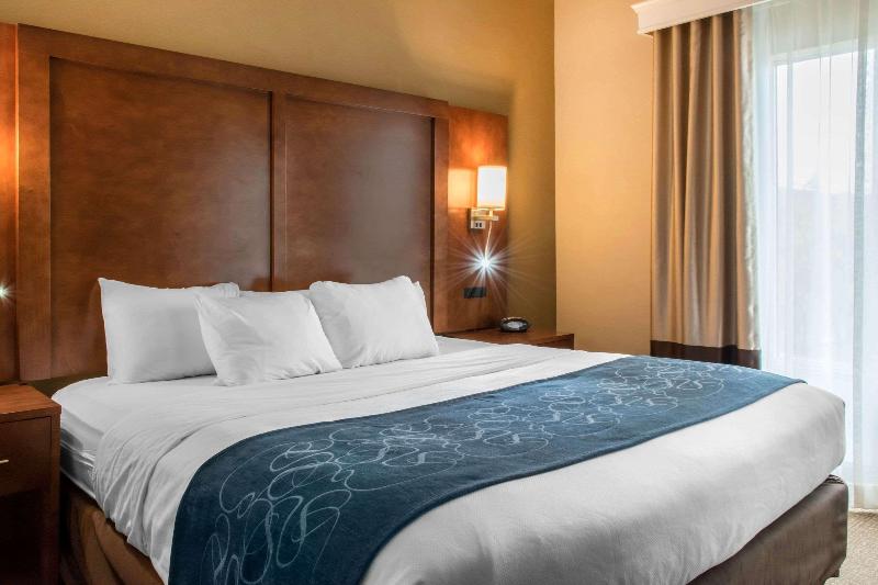 سوئیت با تخت بزرگ, Comfort Suites Scranton Near Montage Mountain