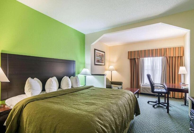 Suite King Size Seng, Quality Inn & Suites Near I 80 And I 294