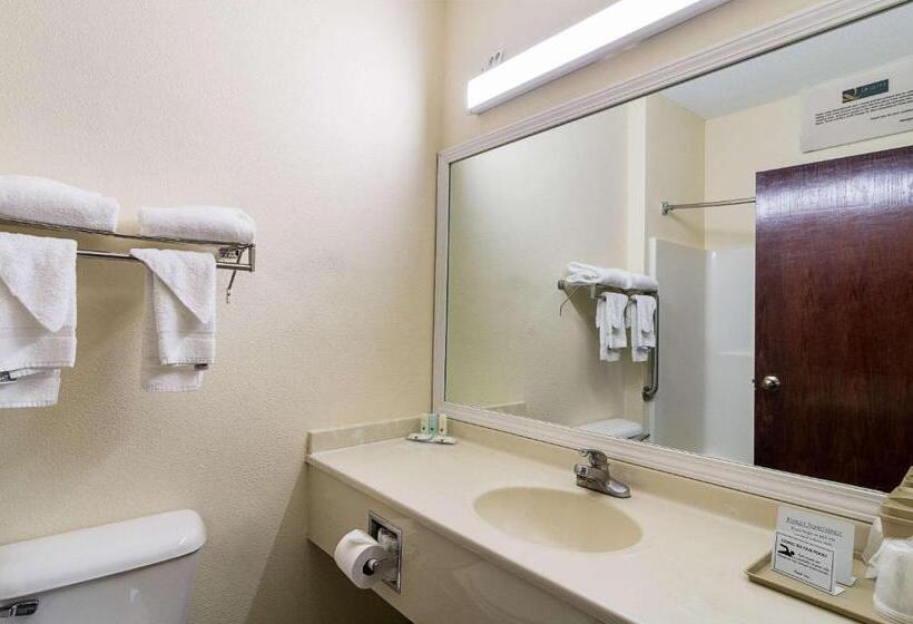 Suite, Quality Inn & Suites Near I 80 And I 294