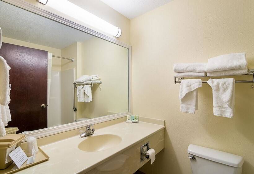 Suite, Quality Inn & Suites Near I 80 And I 294