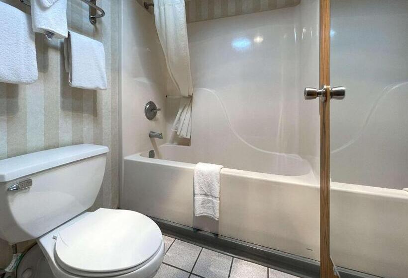 스탠다드 룸 킹사이즈 침대, Quality Inn & Suites North Gibsonia