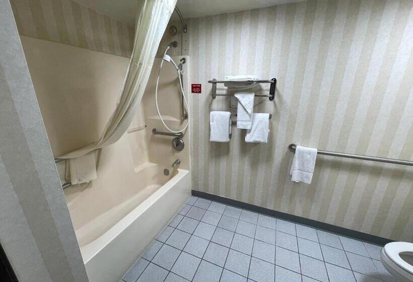 장애인을 위한 킹사이즈 침대 스탠다드 룸, Quality Inn & Suites North Gibsonia