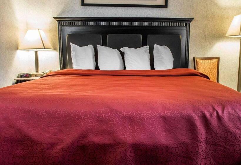 스탠다드 룸 킹사이즈 침대, Quality Inn & Suites North Gibsonia