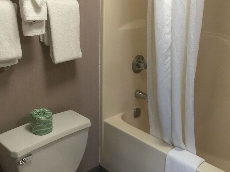 스탠다드 룸 더블 침대 2개, Quality Inn & Suites North Gibsonia