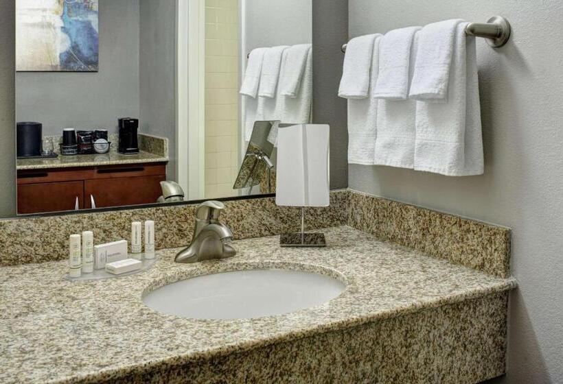 장애인을 위한 킹사이즈 침대 스탠다드 룸, Sonesta Select Milwaukee Brookfield
