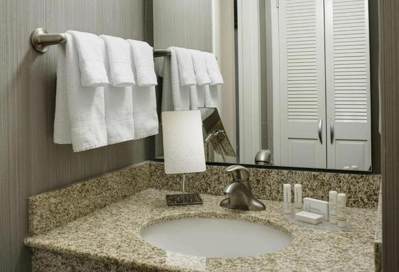 장애인을 위한 퀸사이즈 스탠다드 룸, Sonesta Select Milwaukee Brookfield