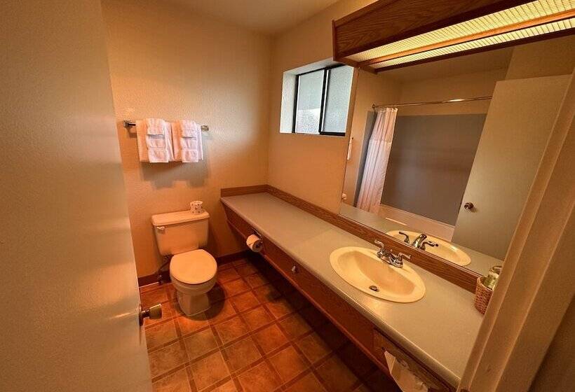 Номер Стандарт 2 Двуспальные Кровати, Astoria Crest Motel