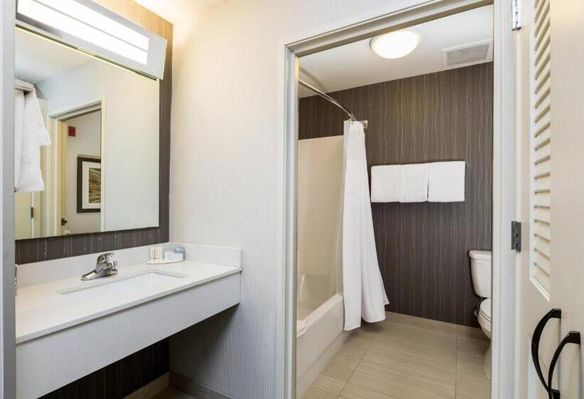 Люкс Executive Кровать Кинг, Courtyard Dallas Mesquite