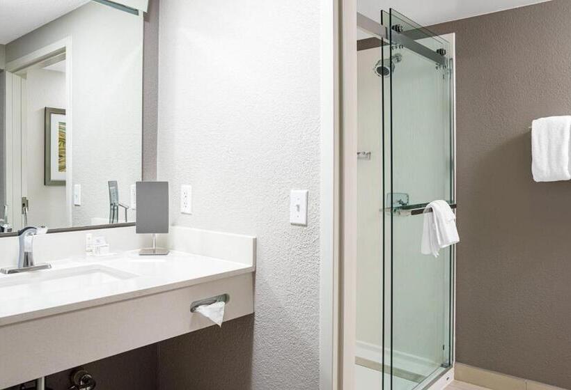 اتاق استاندارد با تخت بزرگ, Courtyard Paducah West