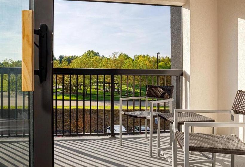 اتاق استاندارد با تخت بزرگ, Courtyard Paducah West