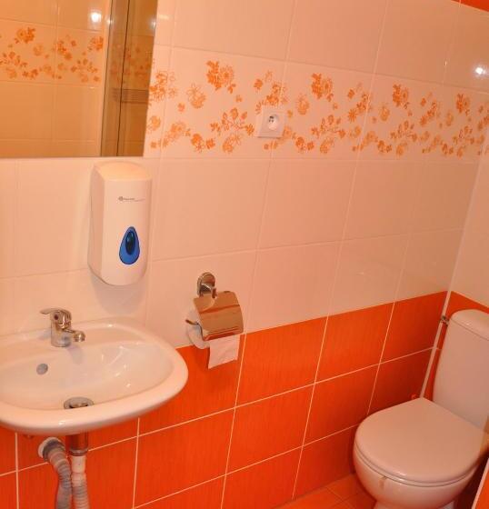 חדר סטנדרט לשלושה, Hostel Děčín Na Skřivánce