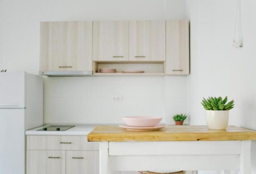 آپارتمان 1 خوابه با تراس, White & Wood