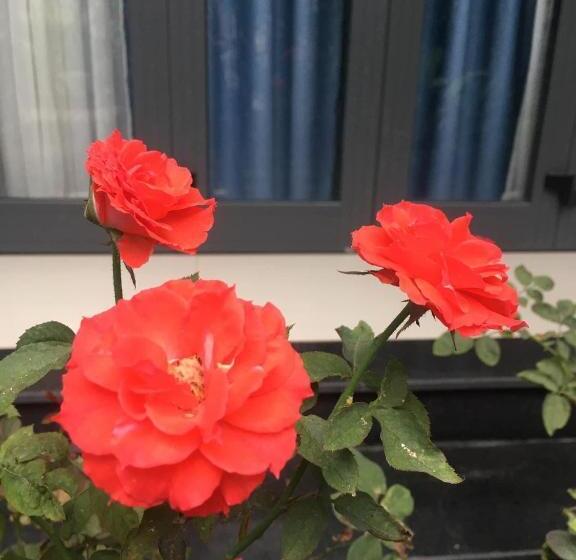 اتاق استاندارد با بالکن, Cherry Garden Homestay