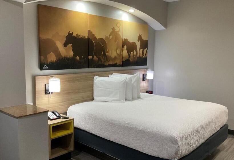 身障者適用キングサイズベッドルーム, Days Inn By Wyndham Humble/houston Intercontinental Airport
