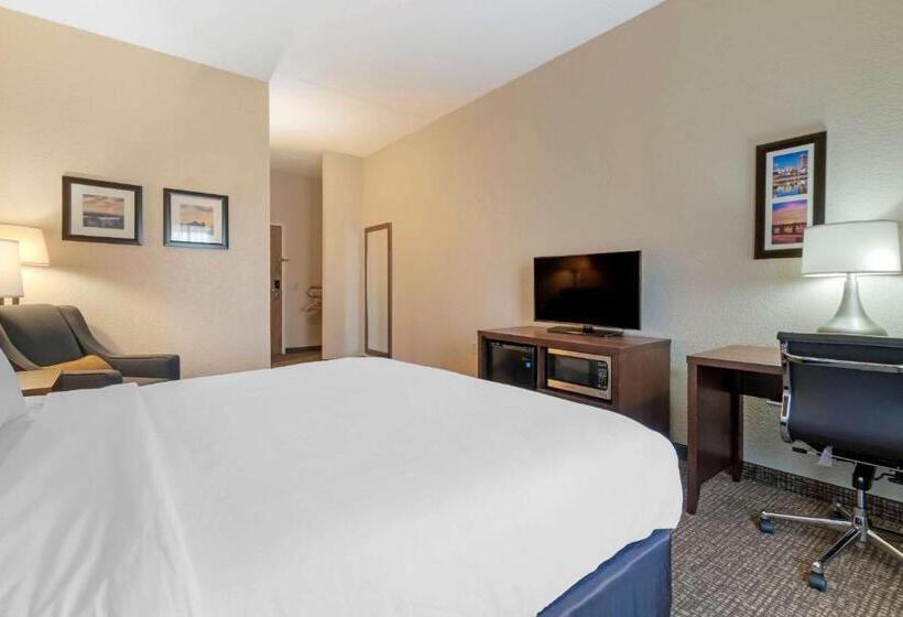 Quarto Estandar Cama King para Deficientes Físicos, Comfort Inn Mechanicsburg  Harrisburg South