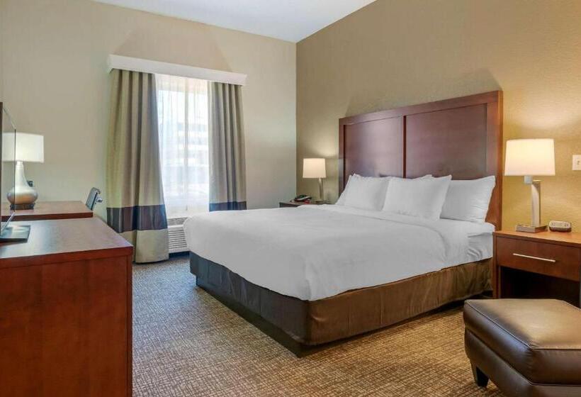 장애인을 위한 킹사이즈 침대 스탠다드 룸, Comfort Inn Mechanicsburg  Harrisburg South