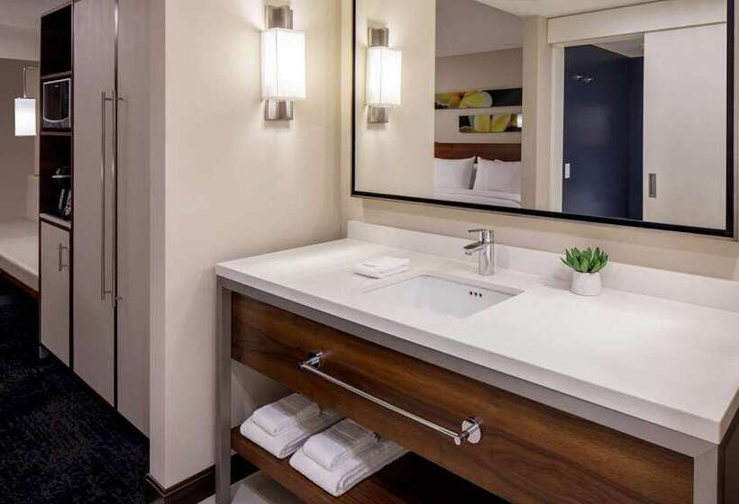 Suite met Uitzicht op de Stad, Hilton Chicago/magnificent Mile Suites