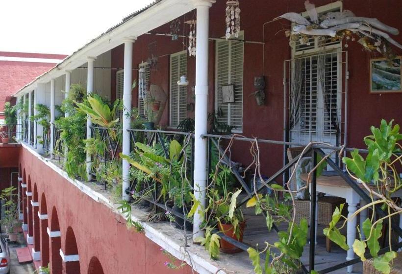 اتاق استاندارد, Charming Old World Apartment