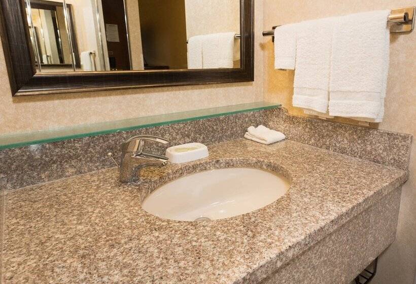 Quarto Deluxe, Drury Inn & Suites Atlanta Airport